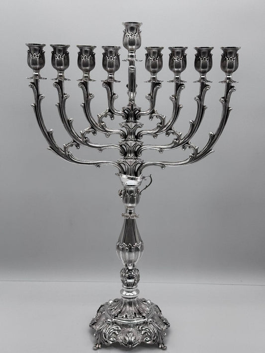 Beautiful Menorah